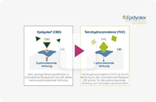 Knowledge Centre_video-2